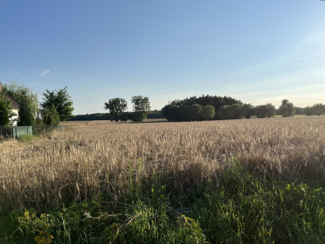 Działka Sprzedaż Helenów 6