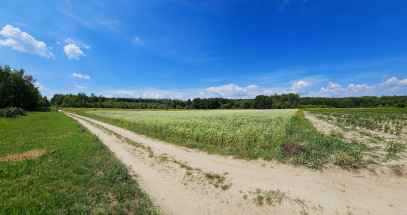 Działka Sprzedaż Kazimierz Dolny