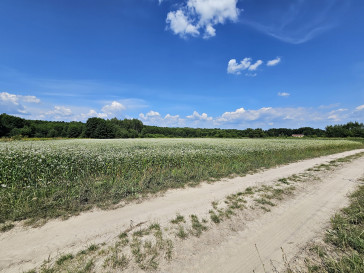 Działka Sprzedaż Kazimierz Dolny