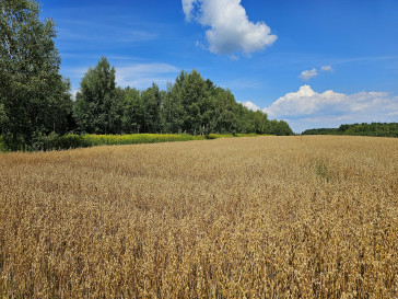 Działka Sprzedaż Karczmiska Drugie