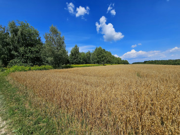 Działka Sprzedaż Karczmiska Drugie