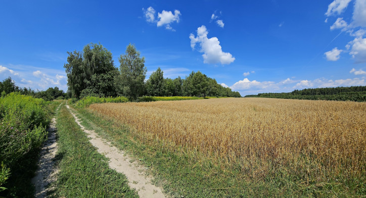 Działka Sprzedaż Karczmiska Drugie 7