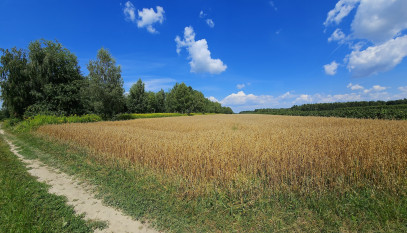 Działka Sprzedaż Karczmiska Drugie