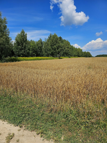 Działka Sprzedaż Karczmiska Drugie 5