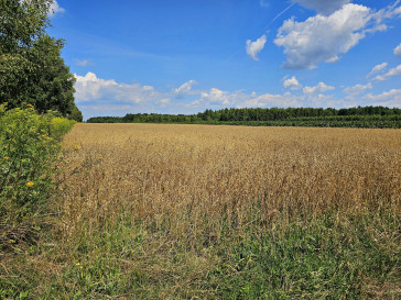 Działka Sprzedaż Karczmiska Drugie