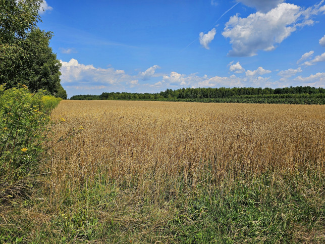 Działka Sprzedaż Karczmiska Drugie 3