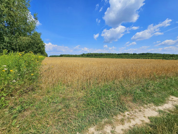 Działka Sprzedaż Karczmiska Drugie