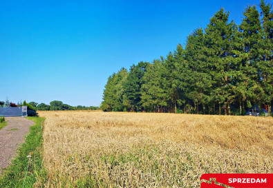 Działka Sprzedaż Zemborzyce Dolne