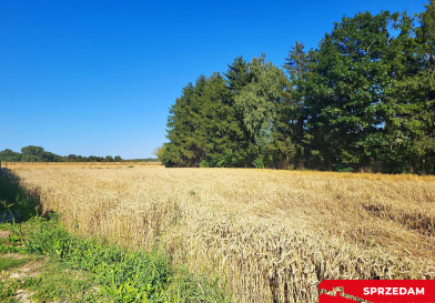 Działka Sprzedaż Zemborzyce Dolne