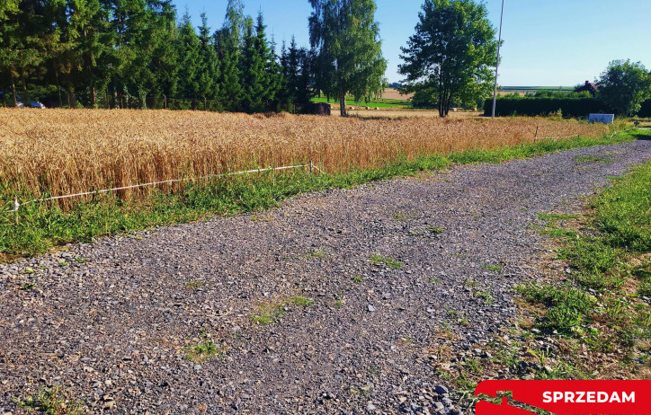 Działka Sprzedaż Zemborzyce Dolne 10