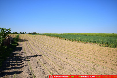 Działka Sprzedaż Dominów