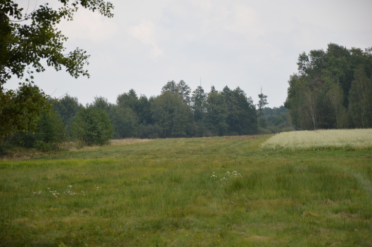 Działka Sprzedaż Brzeźnica Leśna 4