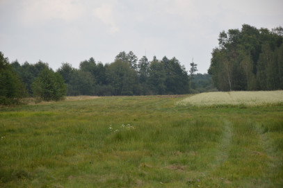 Działka Sprzedaż Brzeźnica Leśna