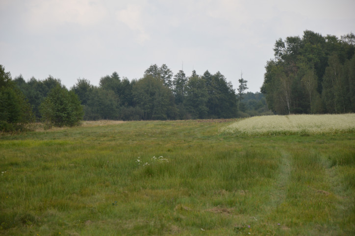 Działka Sprzedaż Brzeźnica Leśna 5