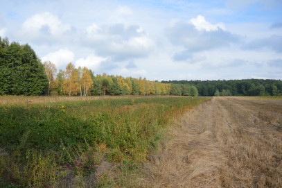 Działka Sprzedaż Klarów