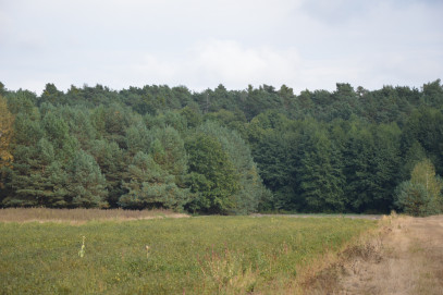 Działka Sprzedaż Klarów