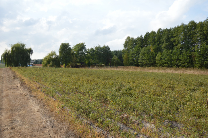 Działka Sprzedaż Klarów 4