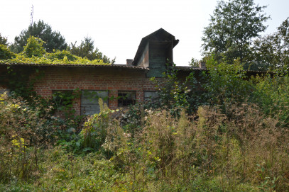 Działka Sprzedaż Urzędów Błażeja Dzikowskiego