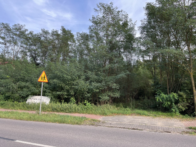 Działka Sprzedaż Wola Chodkowska 5