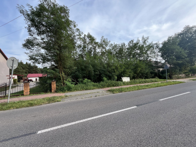 Działka Sprzedaż Wola Chodkowska 7