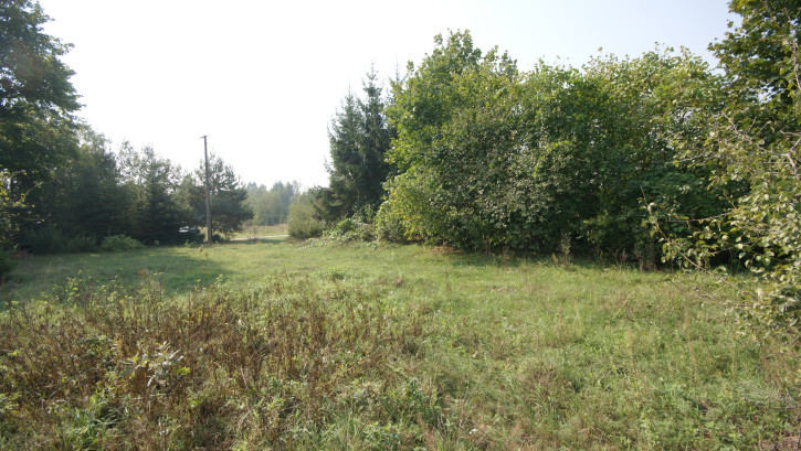 Działka Sprzedaż Gołąb 7