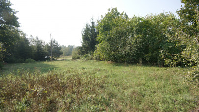 Działka Sprzedaż Gołąb