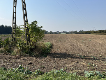 Działka Sprzedaż Gołąb Lotnisko