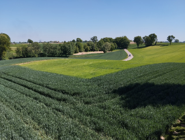 Działka Sprzedaż Moszenki 1