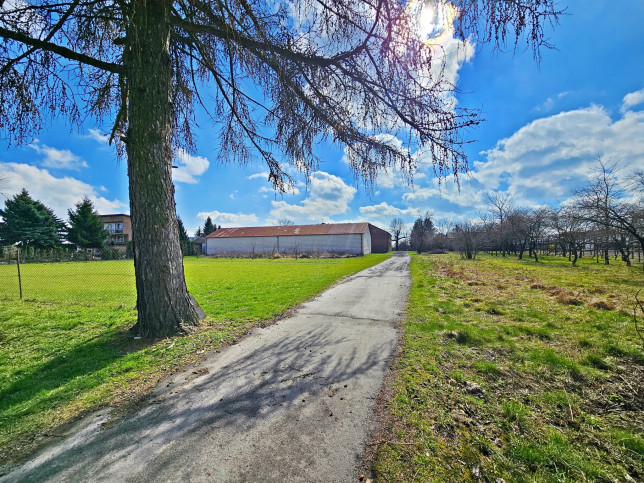 Działka Sprzedaż Witaniów 4