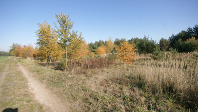 Działka Sprzedaż Nowodwór-Piaski