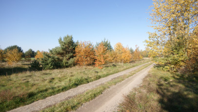 Działka Sprzedaż Nowodwór-Piaski