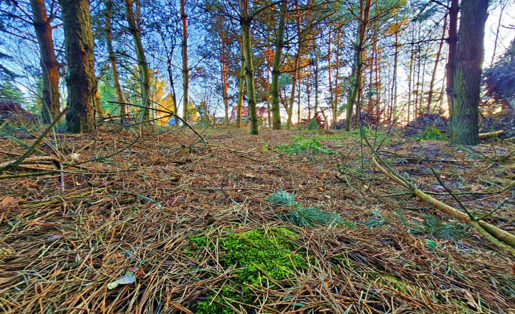 Działka Sprzedaż Wola Krasienińska 13