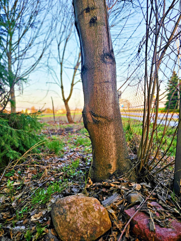 Działka Sprzedaż Wola Krasienińska 15