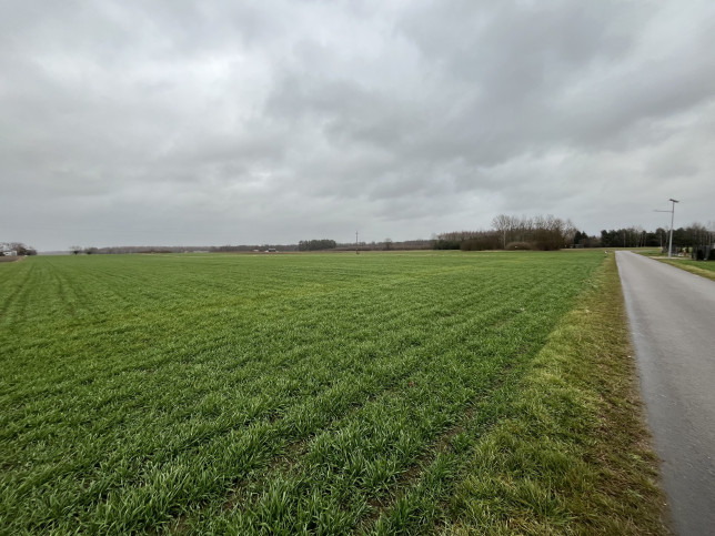Działka Sprzedaż Babin 12