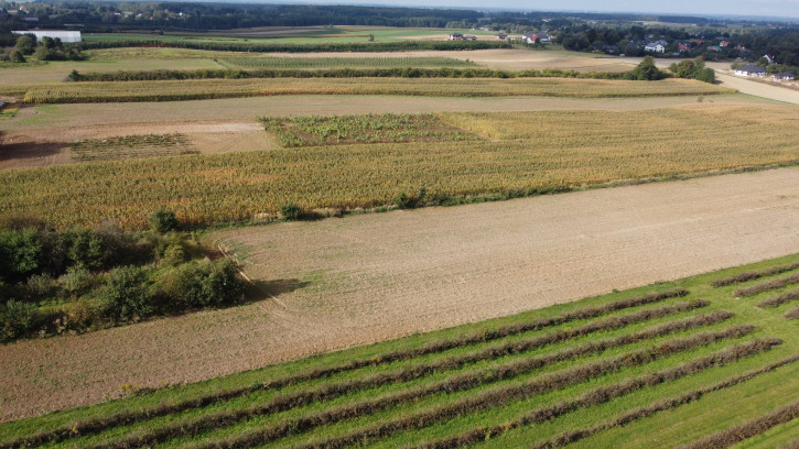 Działka Sprzedaż Motycz 4