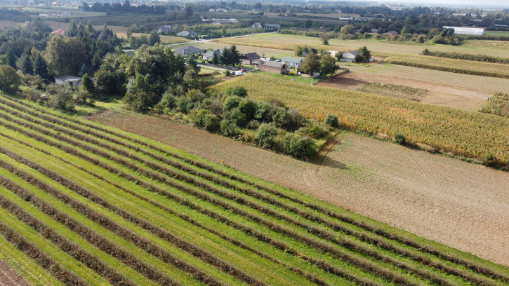 Działka Sprzedaż Motycz 5