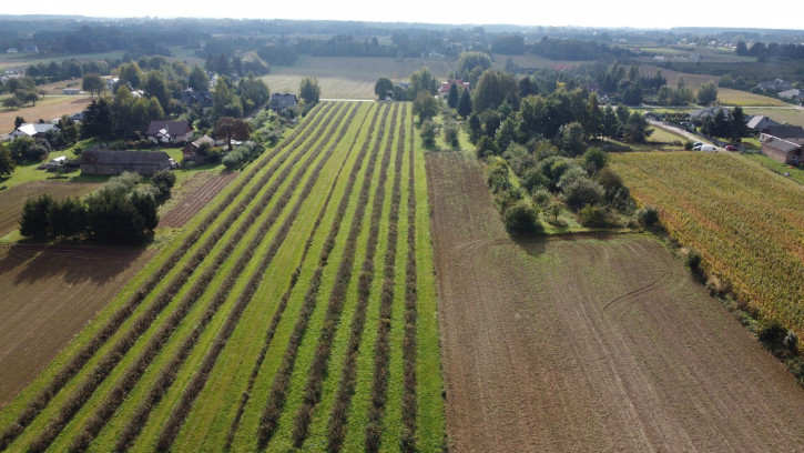 Działka Sprzedaż Motycz 8