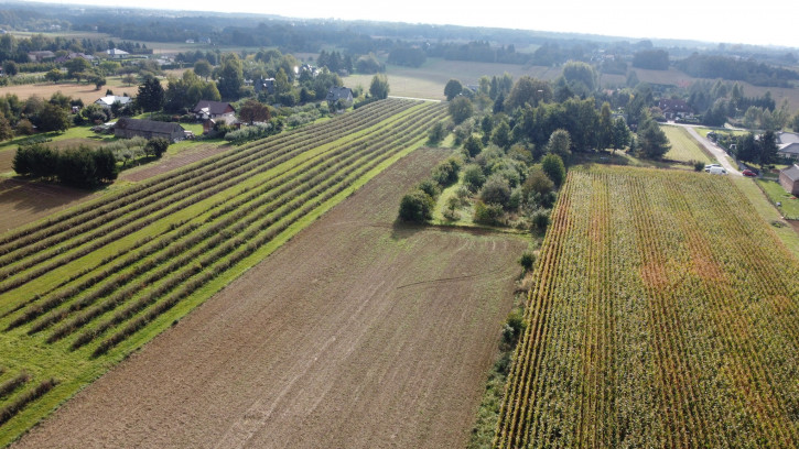 Działka Sprzedaż Motycz 9