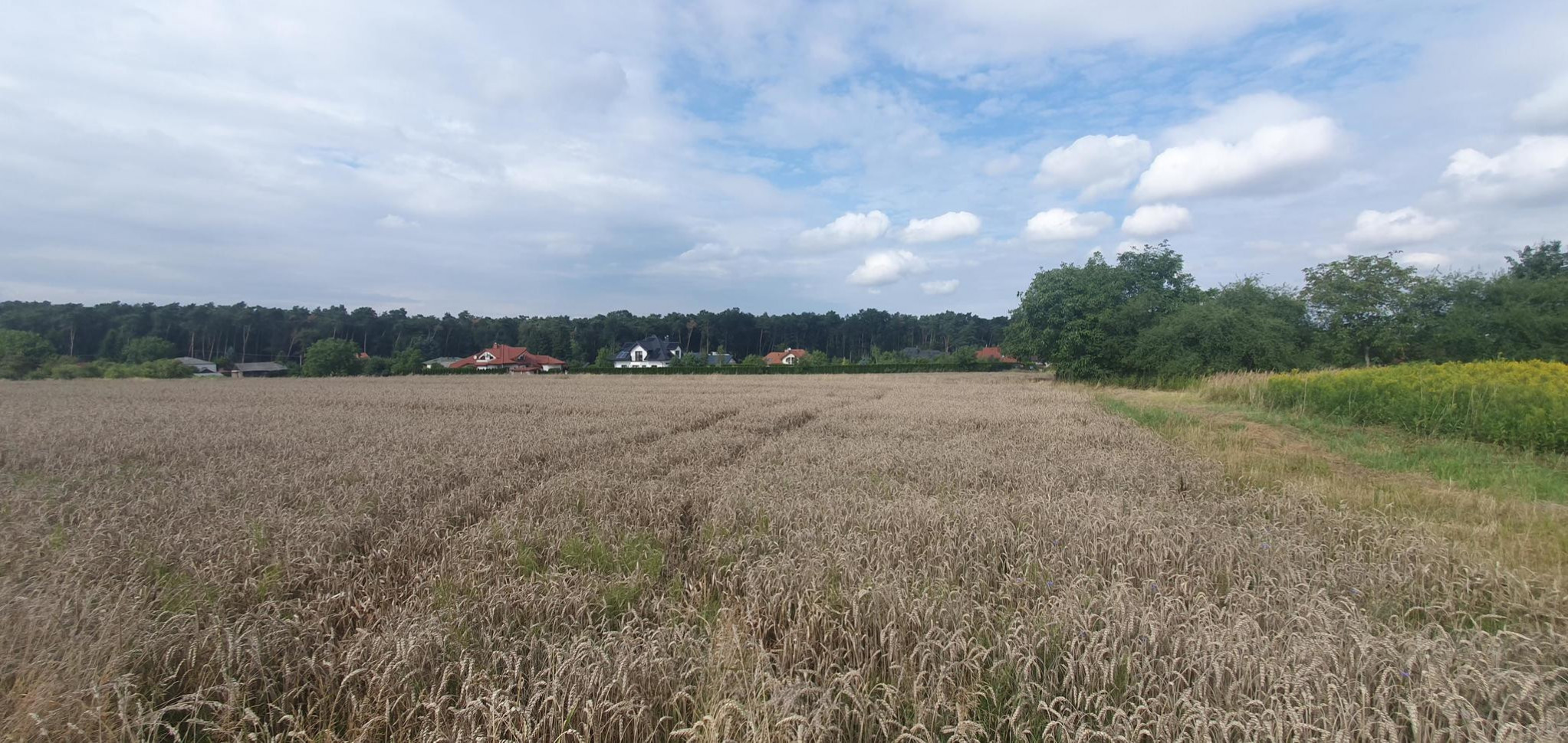 Działka Sprzedaż Świdnik Wiosenna