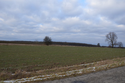 Działka Sprzedaż Wojszyn