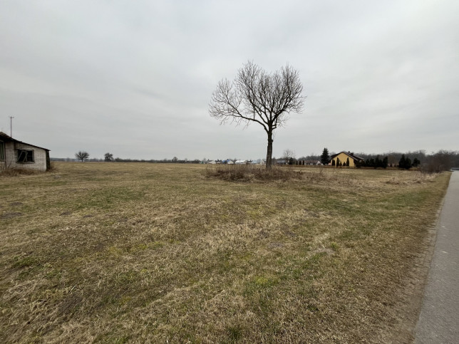 Działka Sprzedaż Czarnolas 7