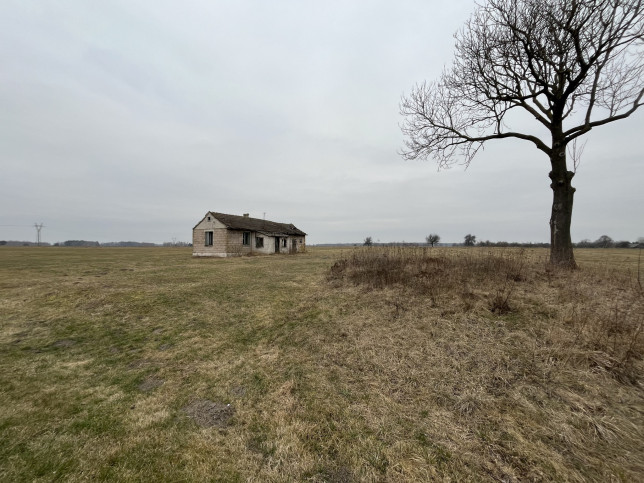 Działka Sprzedaż Czarnolas 5