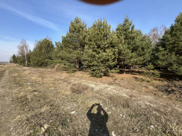 Działka Sprzedaż Wólka Gonciarska