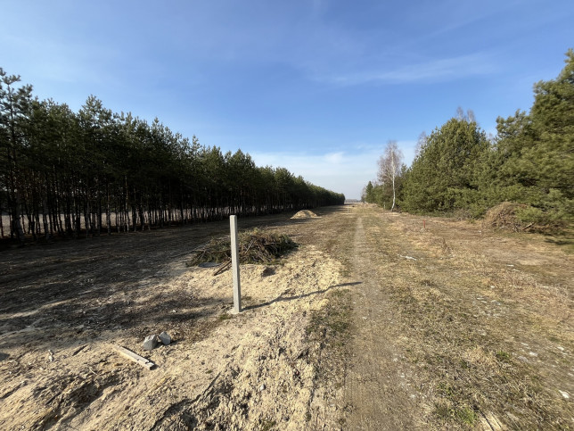 Działka Sprzedaż Wólka Gonciarska 6
