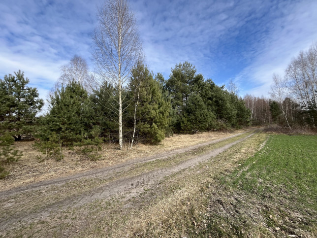 Działka Sprzedaż Karolów 12