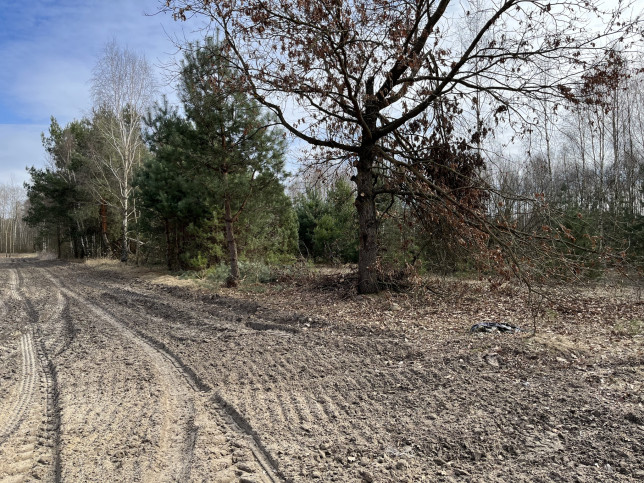 Działka Sprzedaż Karolów 16