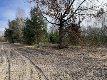 Działka Sprzedaż Karolów