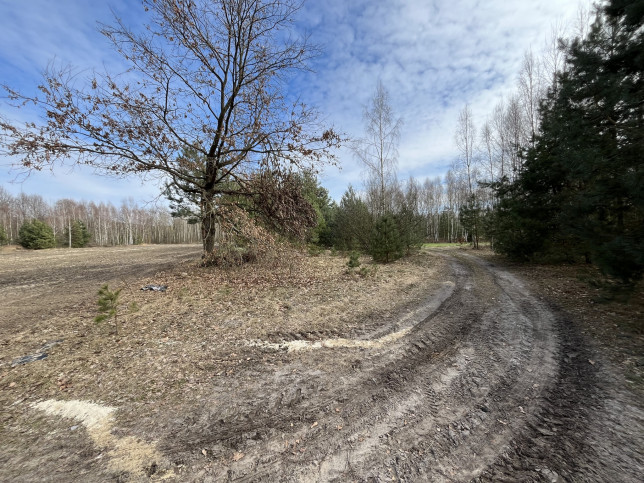 Działka Sprzedaż Karolów 18