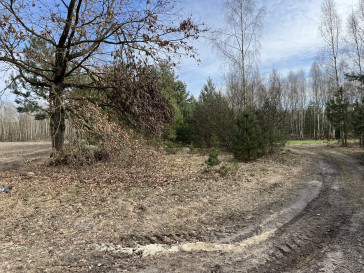 Działka Sprzedaż Karolów