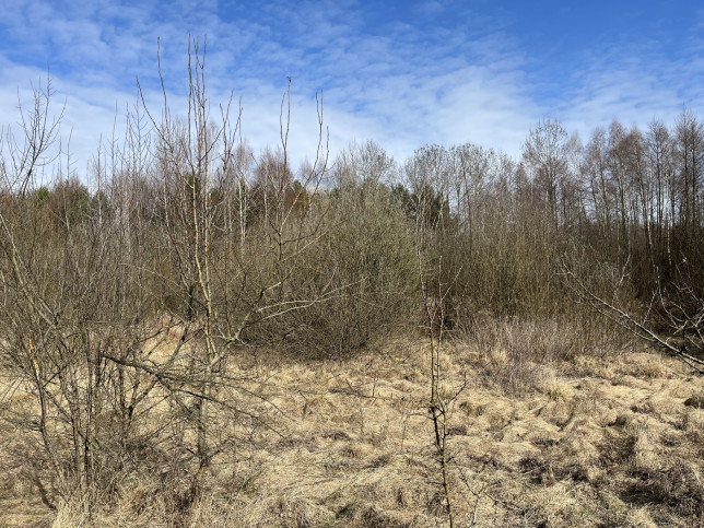 Działka Sprzedaż Nowy Kawęczyn 15